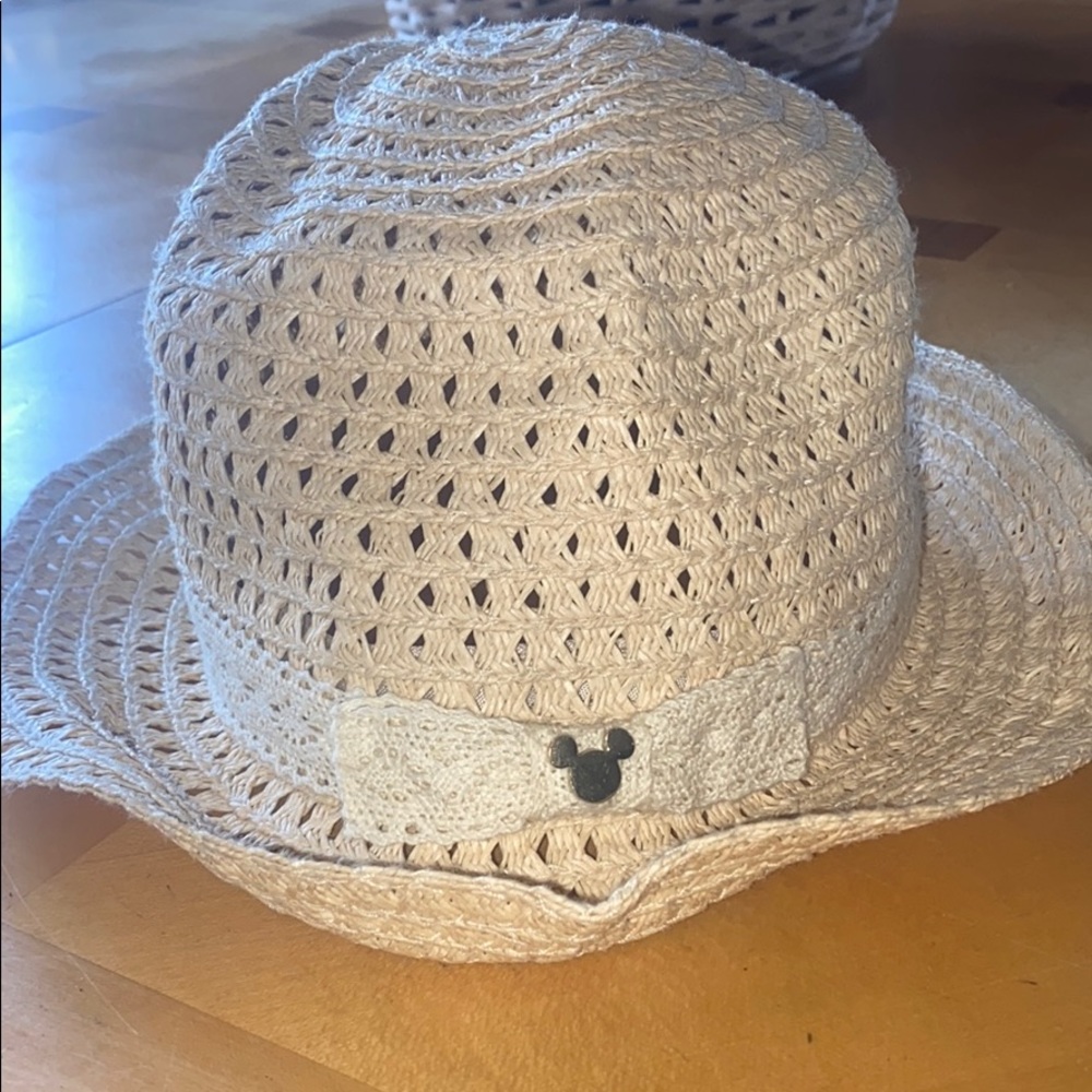 Disney parks hat